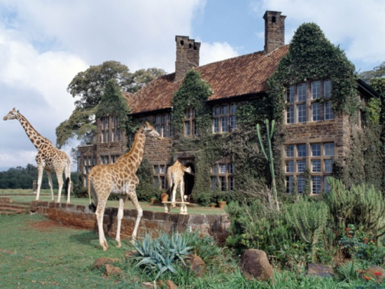 Girafas Hotel Quênia - Laguna