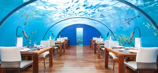 Ithaa Undersea Restaurant - Laguna