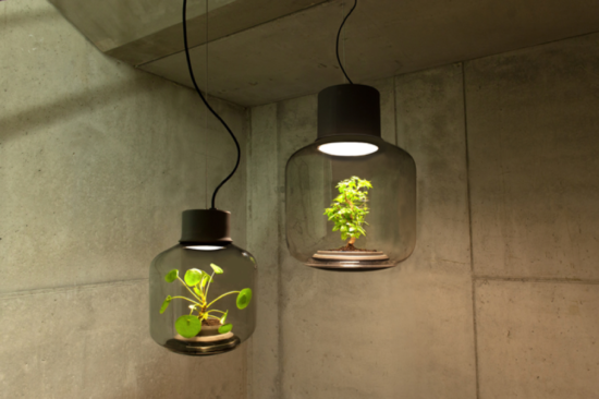 Mygdal Plant Lamp - a luminária com planta - Laguna