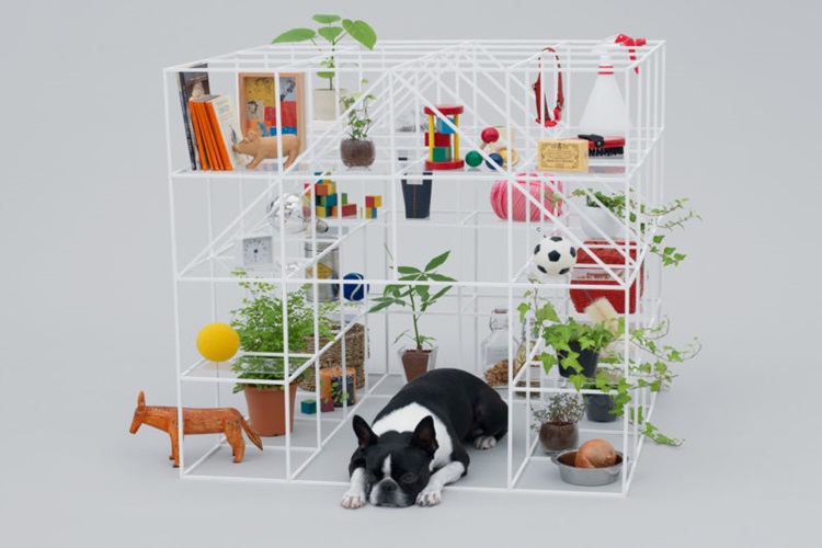 Japan House recebe projetos de arquitetura para cães - Construtora Laguna