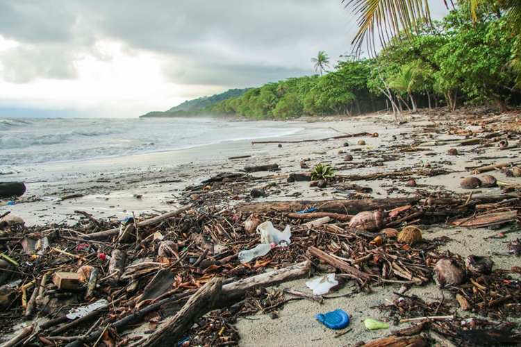Exemplo de sustentabilidade Costa Rica busca se tornar neutra em carbono e eliminar plástico descartável - Construtora Laguna