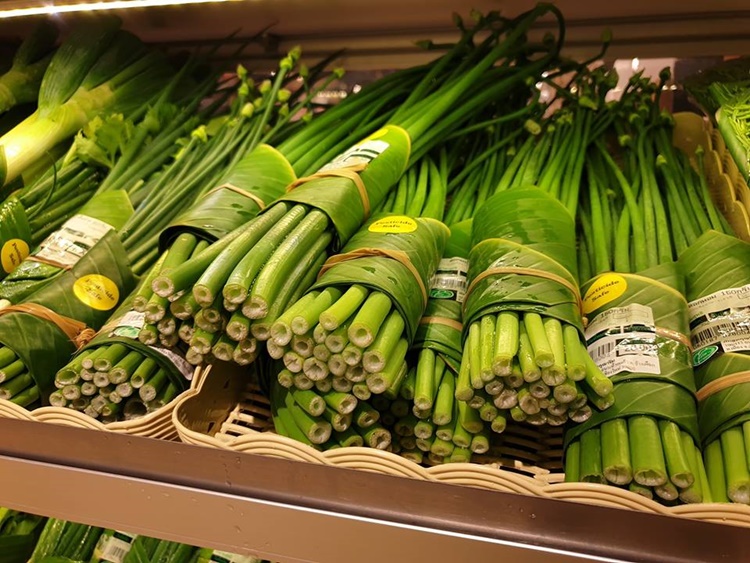 Folhas de bananeira substituem embalagens plásticas em supermercados asiáticos - Construtora Laguna