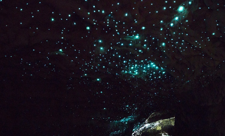 Conheça a caverna que abriga um exótico céu estrelado - Construtora Laguna