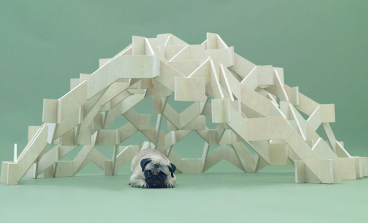Museu de São Paulo recebe projetos de arquitetura para cães - Construtora Laguna