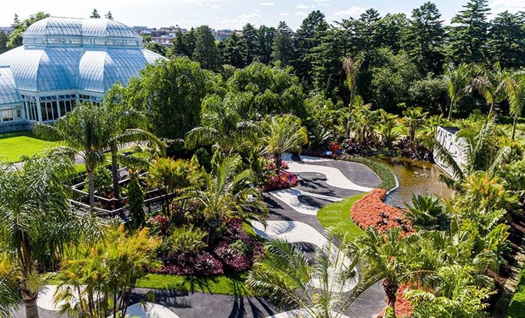 Exposição no Jardim Botânico de Nova York homenageia o paisagista Roberto Burle Marx - Construtora Laguna