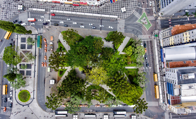 Os benefícios do plantio de árvores nas metrópoles